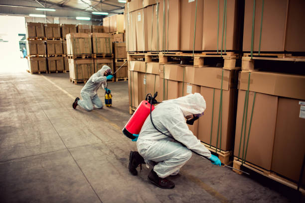 Best Best Pest Control Companies  in Silver Summit, UT