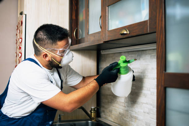 Best Commercial Pest Control Services  in Silver Summit, UT