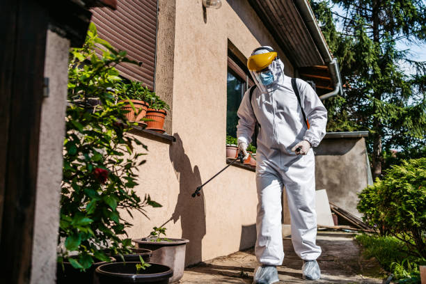 Best Residential Pest Control  in Silver Summit, UT