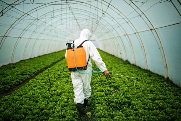 Best Mosquito Control Services  in Silver Summit, UT