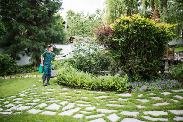 Best Pest Control for Restaurants  in Silver Summit, UT