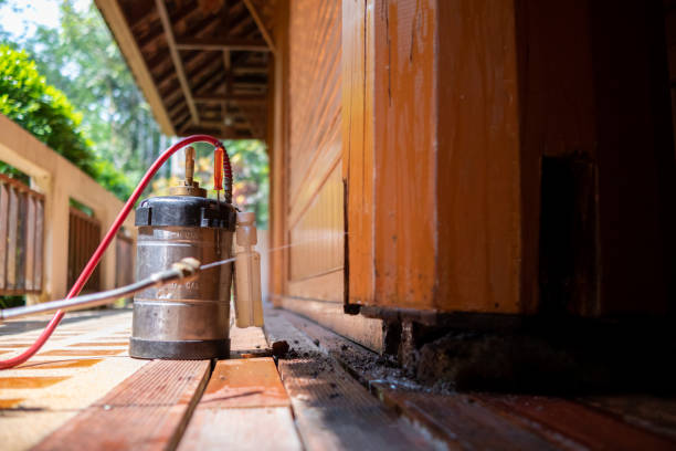 Best Affordable Pest Control Services  in Silver Summit, UT