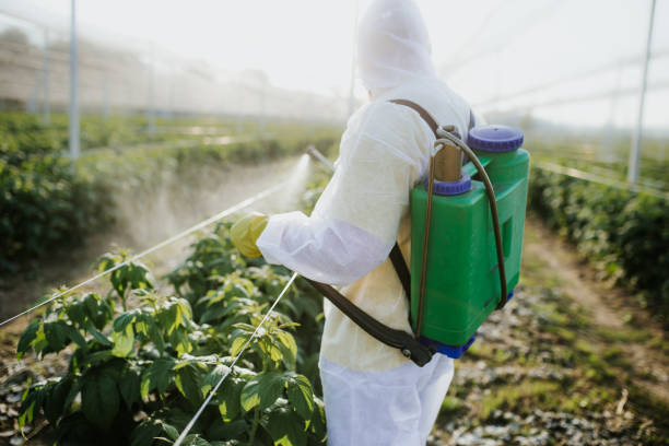 Best Residential Pest Control  in Silver Summit, UT